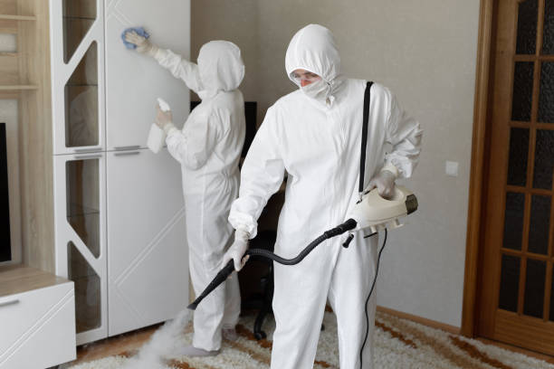 Trusted Sewage Cleanup service in Cambria, CA - Four Month Blood Cleanse